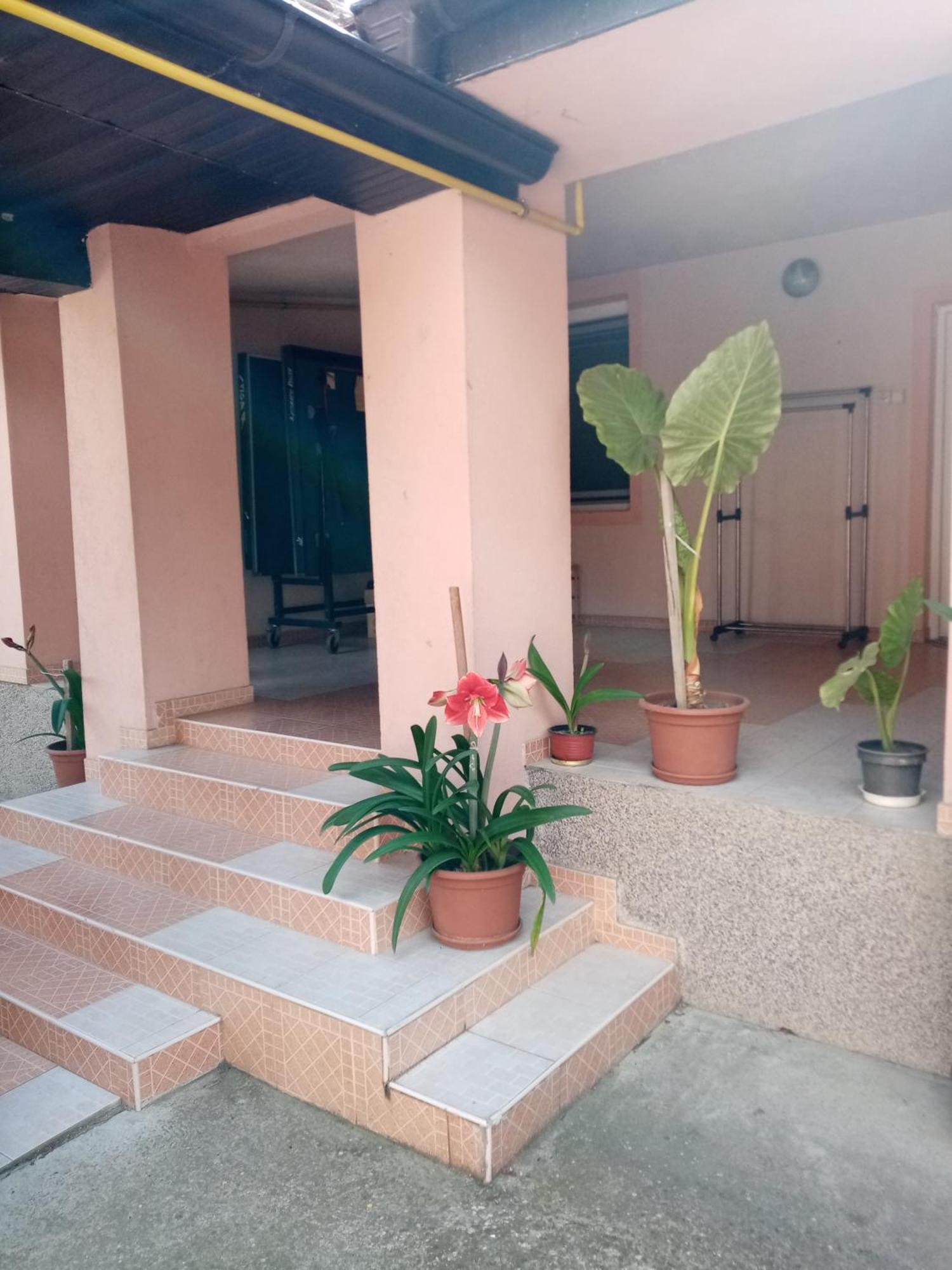 ורדניק Milica Apartmani מראה חיצוני תמונה