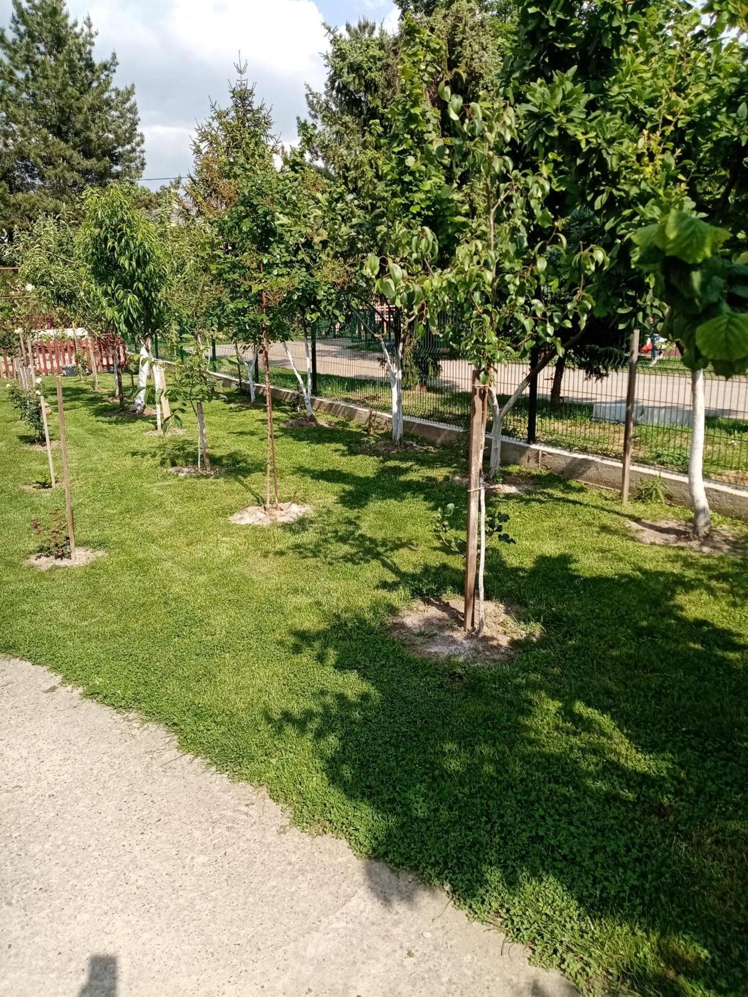ורדניק Milica Apartmani מראה חיצוני תמונה