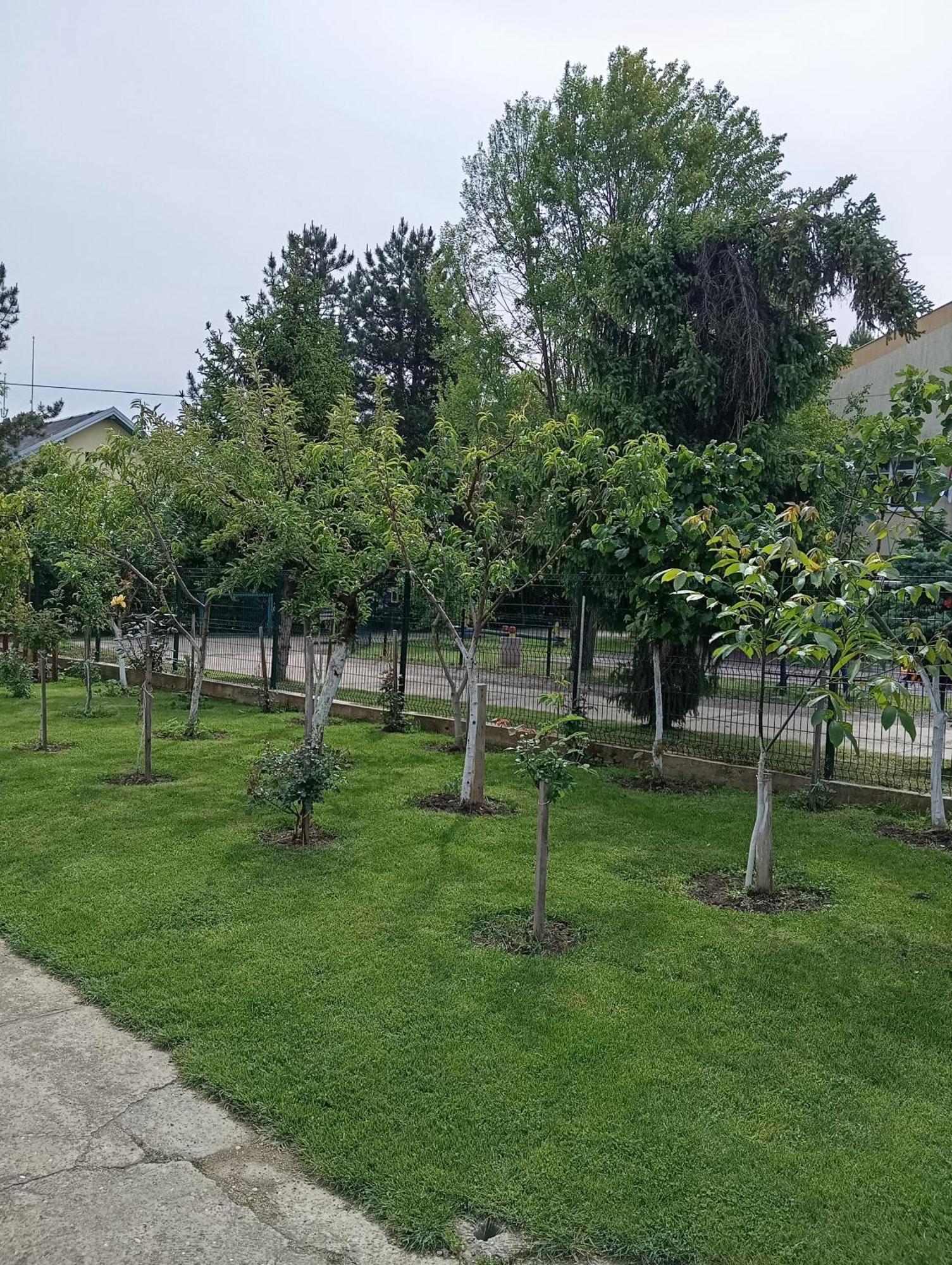 ורדניק Milica Apartmani מראה חיצוני תמונה